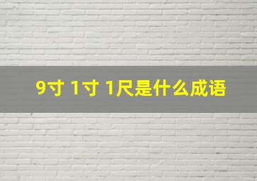 9寸 1寸 1尺是什么成语